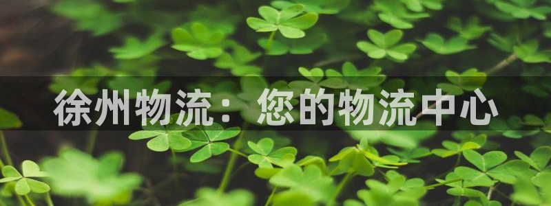 28圈充值不处理：徐州物流：您的物流
