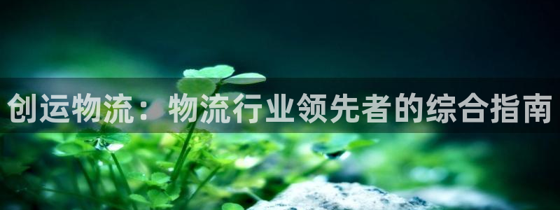 28圈推广链接是多少粉丝：创运物流：