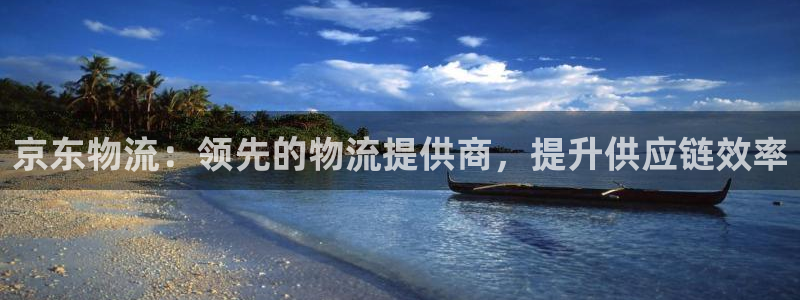 28圈是南宫旗下的吗：京东物流：领先