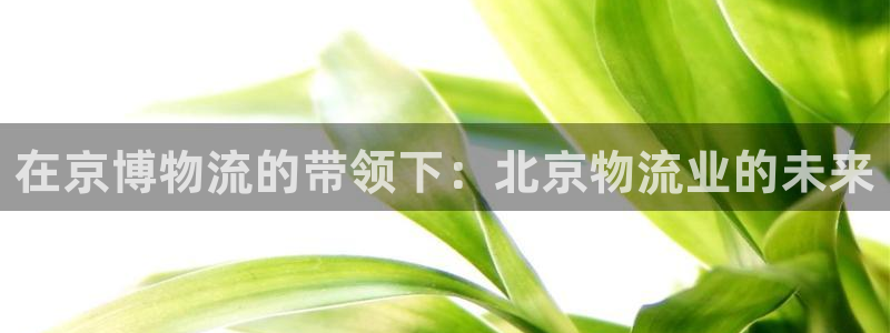 28圈加拿大技巧：在京博物流的带领下