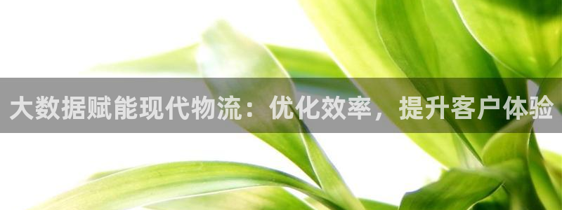 28圈.ccmo：大数据赋能现代物流：优化效率，提升客户体验