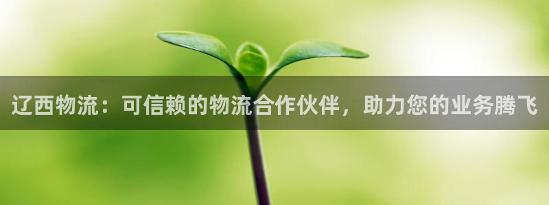 28圈新用户怎么注册：辽西物流：可信
