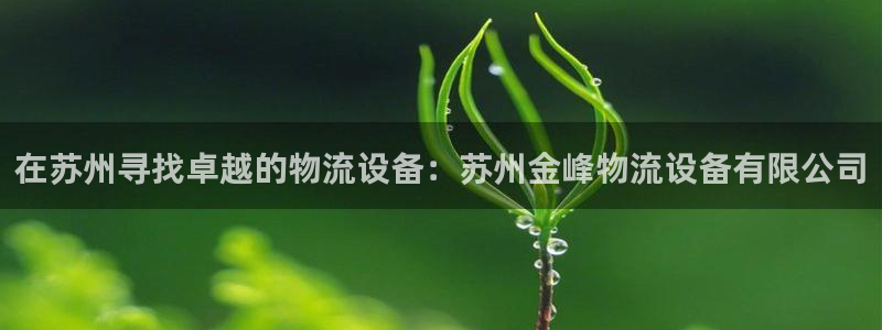 28圈加拿大模拟器：在苏州寻找卓越的