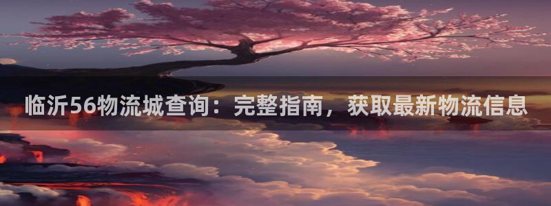 28圈ccm官网版：临沂56物流城查