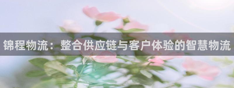 28圈加拿大走势