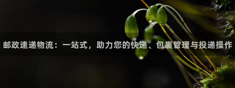 28圈是干嘛的
