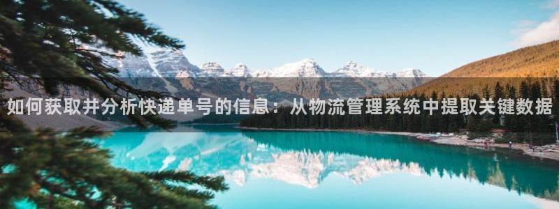 28圈充值为什么充不了