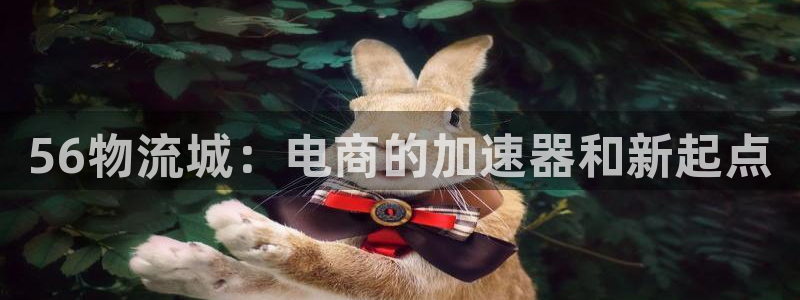 28圈加拿大2.8预测在线预测