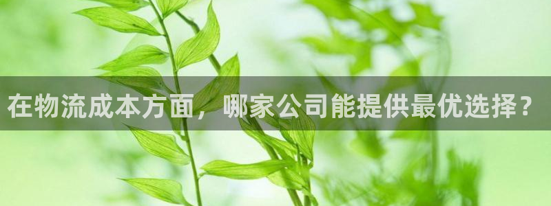 28圈在线预测
