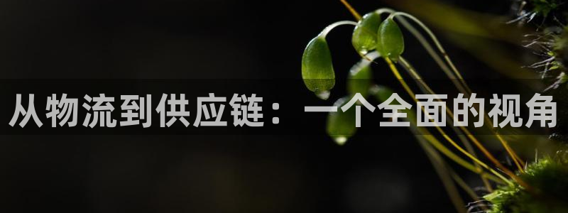 28圈里的财神