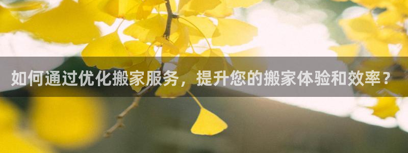 28圈网站平台