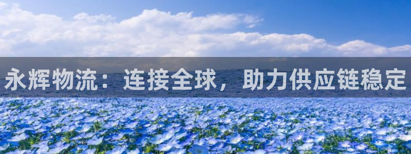 28圈注册问一问：永辉物流：连接全球，助力供应链稳定