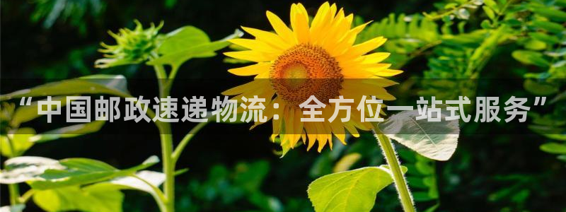 28圈注册网页版：“中国邮政速递物流