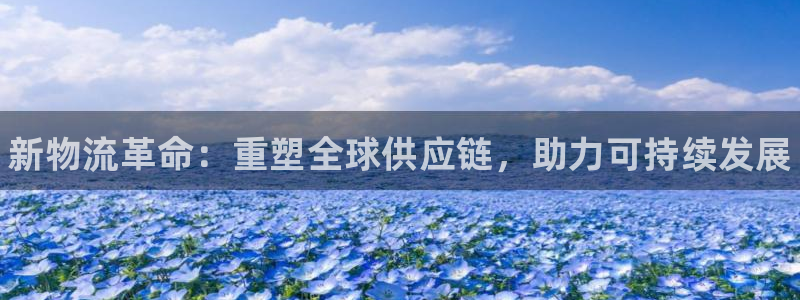 28圈注册官网：新物流革命：重塑全球供应链，助力可持续发展
