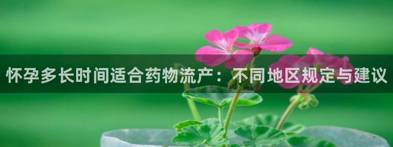28圈充值不处理：怀孕多长时间适合药