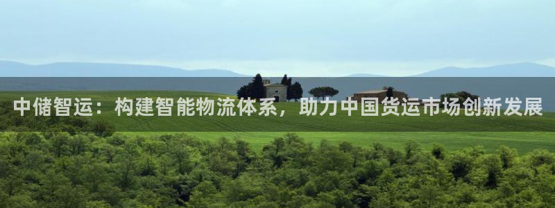 28圈怎么下载不了：中储智运：构建智