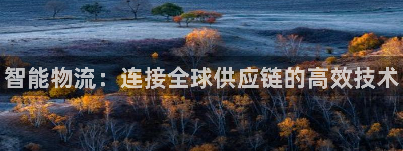28圈娱乐官网网页：智能物流：连接全