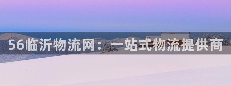 28圈登录不上咋回事：56临沂物流网：一站式物流提供商